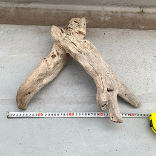 大阪府の中古流木が無料 格安で買える ジモティー