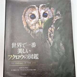 ☆世界で一番美しいフクロウの図鑑☆1100円（税込）　法人所有