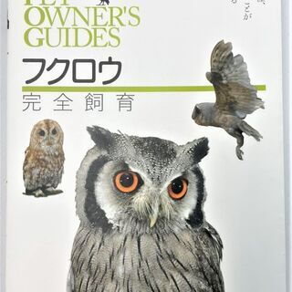 【値下げ】☆フクロウ完全飼育☆880円（税込）　法人所有　