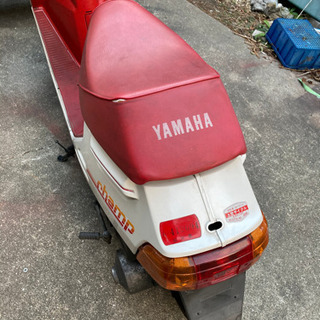 ヤマハ　チャンプ　54v
