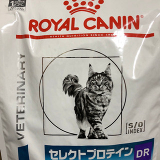 猫のごはん　ROYAL CANIN