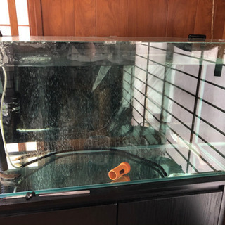 900水槽　外部フィルター、台付き