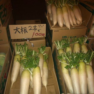 野菜格安！！キャベツ玉¥70大根売切れ白菜 玉¥70早い者勝ち！！