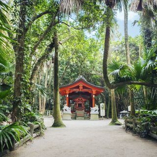 縁結び神社でオンライン願掛け！パワースポット宮崎・青島でデトック...