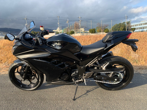 カワサキ‼️忍者300‼️希少車両‼️逆車フルパワー‼️極上 カワサキの