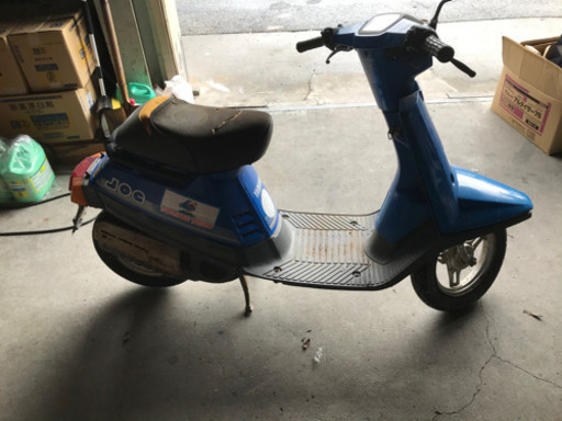 激レア！ペリカンジョグ