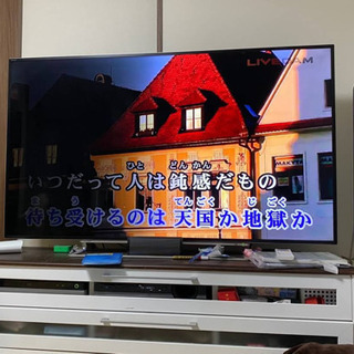 65インチ　テレビ　レグザ　REGZA