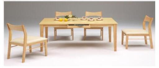 ダイニングテーブル（120×80×70） + 椅子4脚