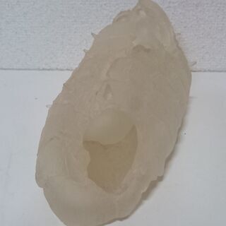 その他 【箱なし】ジブリ 王蟲 風の谷のナウシカ オウム 抜け殻 オーム 