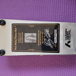 RMC Picture Wah 初期型 中古