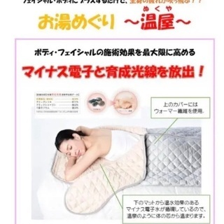 育成光線、マイナス電子サウナ（サロン専売／業務用） 