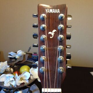 12弦アコースティックギター　Audition ヴィンテージ Audition Vintage 12-String Acoustic Guitar Made In Japan