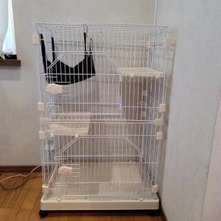 猫ゲージ