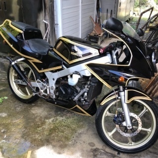 NS1 前期 改多数