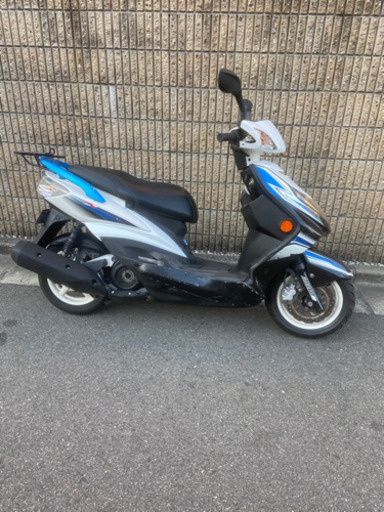 シグナス自賠責つき！