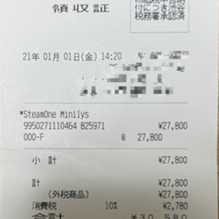 スチームの力で除菌　衣類スチーマー　アイロンSteamOne Minilys