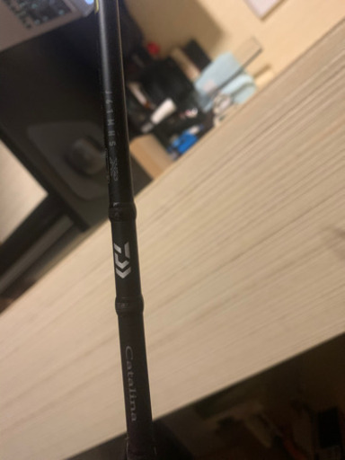 DAIWA キャタリナジギングタックル 最終値下げ！