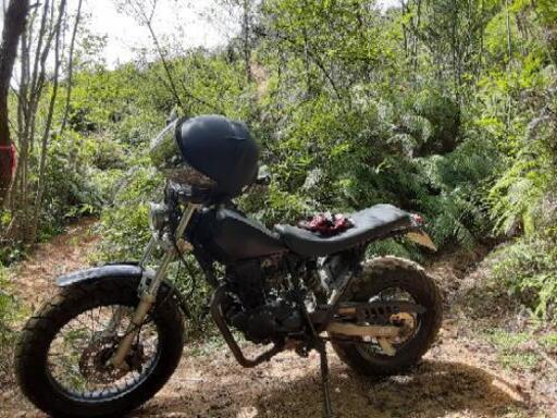 ヤマハ　TW200