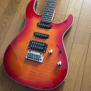 Fernandes FR 45