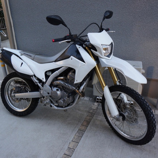 CRF250L MD38 IMSビッグタンク ローダウン仕様