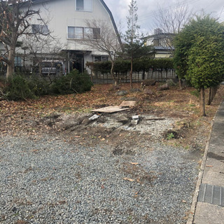 松園町1丁目　　2月中旬まで掲載