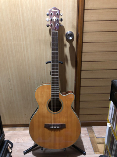 エレアコギター　アイバニーズ【決まりました】