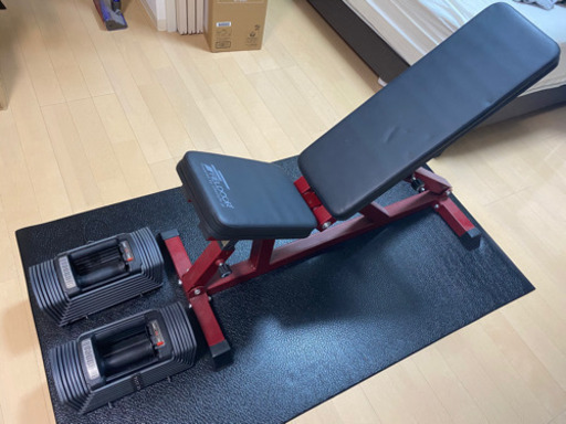 インクラインベンチ、ダンベル26kg×2個セット | noonanwaste.com