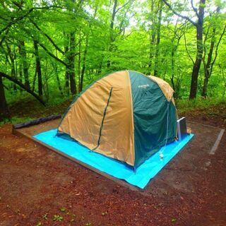 キャンプ　コールマンテント BCクロスドーム 270 グリーン  2000017132