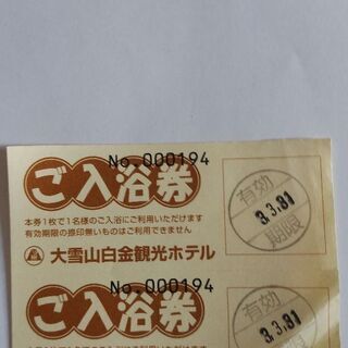 0円　大雪山白金観光ホテル　入浴券　有効期限令和3年3月31日　...