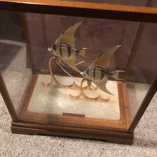 TAKEHIKO 作 エンジェルフィッシュ