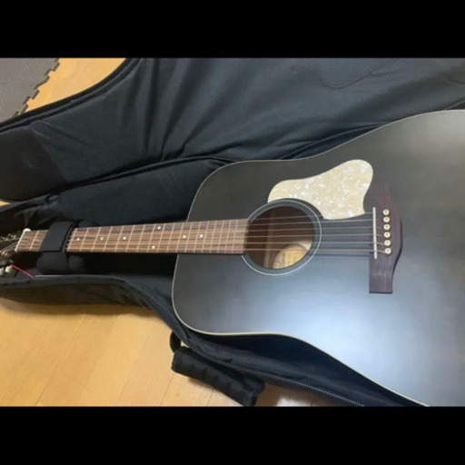 【新品/未使用品】アコースティックギター  Art \u0026 Lutherie  Americana