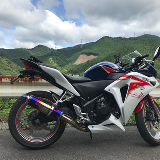 CBR250R MC41前期 2016年モデル 詳細必読 商談中