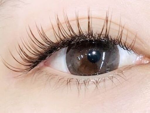 2 12限定 5000 税込 マツエク1時間つけ放題 完全予約 当日予約歓迎 ラニクイール 一之江のその他の無料広告 無料掲載の掲示板 ジモティー