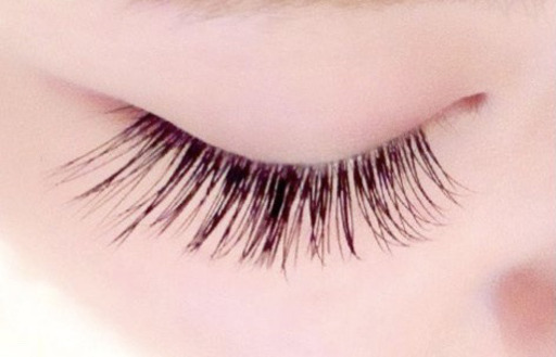 2 12限定 5000 税込 マツエク1時間つけ放題 完全予約 当日予約歓迎 ラニクイール 一之江のその他の無料広告 無料掲載の掲示板 ジモティー