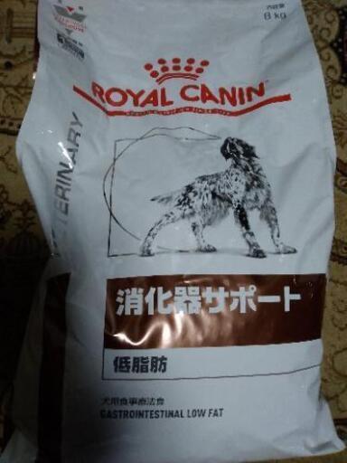 値下げしました　ロイヤルカナン　消火器サポート　低脂肪　犬用