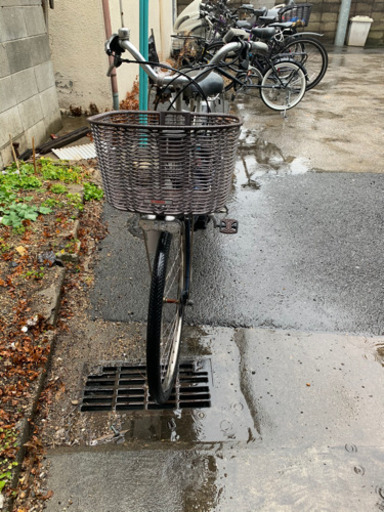 どなたか
