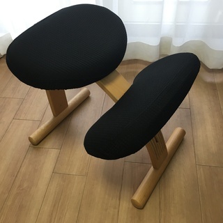 バランス イージー専用｜北欧ファブリックコラボカバー JAKTEN