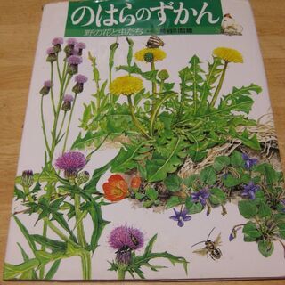 のはらのずかん　野の花と虫たち　長谷川哲雄　岩崎書店