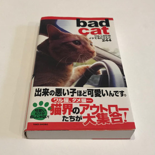 Bad cat : ワルっぷりのイケてるにゃんこ244 帯付き