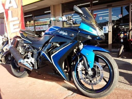 NO.3653　Ｎｉｎｊａ２５０Ｒ（ニンジャ２５０Ｒ） スモークスクリーン　バックステップ　メタリックブルー＆ブラック　☆彡