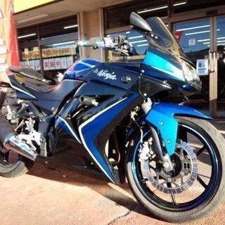 NO.3653　Ｎｉｎｊａ２５０Ｒ（ニンジャ２５０Ｒ） スモーク...