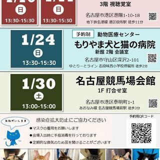 1月30日(土) 猫の譲渡会 名古屋市港区 名古屋競馬場会館 み...