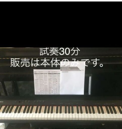 Roland GO-88 電子ピアノ 青森県弘前市 | rodeosemillas.com