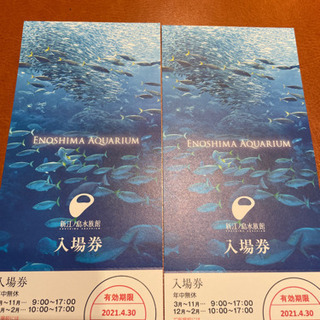 新江の島水族館入場券