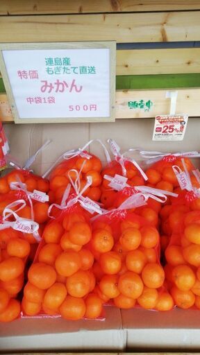 連島みかん直販 ぺぺまろ 倉敷のその他の無料広告 無料掲載の掲示板 ジモティー