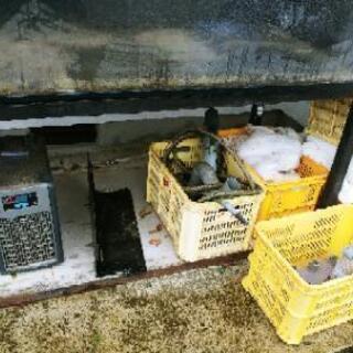 【終了】巨大水槽セット！