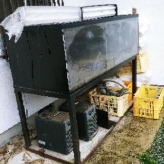 【終了】巨大水槽セット！