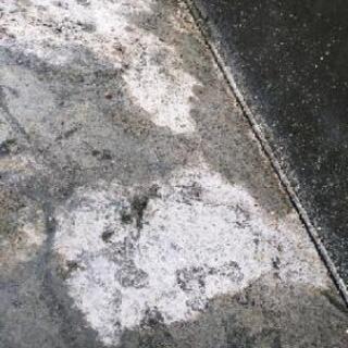 【終了】巨大水槽セット！