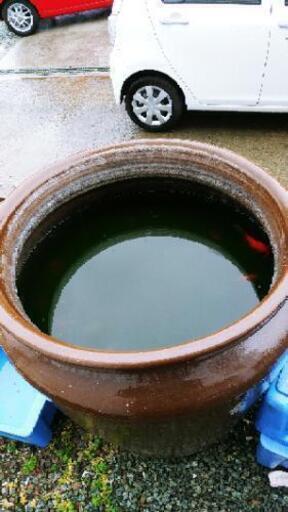 大水鉢(直径81ｾﾝﾁ高さ88ｾﾝﾁ)