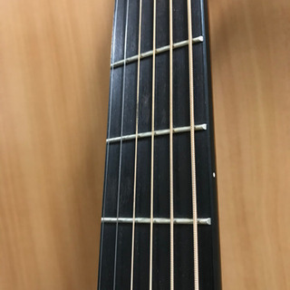 Morris(モーリス) 左利き アコースティックギター